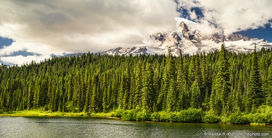 Mount Rainier, Reflection Lakes, Deep Forest, Cloudy Day