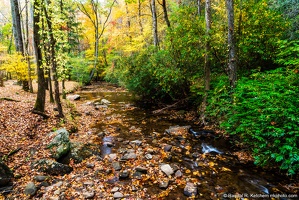 Fall Color from the Frogtown Creek Bridge