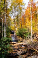 Upper DeSoto Falls Trees, Fall Color