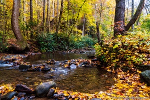 Frogtown Creek Fall