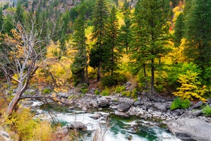 Tumwater Canyon, Wenatchee River, Dead Tree, Fall Color