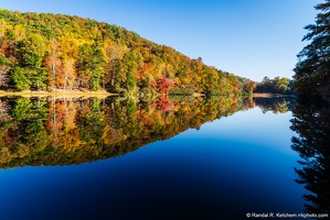 Lake Trahlyta Fall Color Reflection, Shore Tree